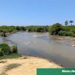 Productores observan áreas afectadas por crecidas del río Masacre en Dajabón.