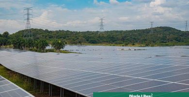 Paneles solares instalados para producir electricidad con fuente renovable.