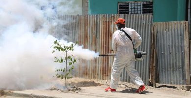Leptospirosis sube en RD: el dato de Salud Pública que debes mirar
